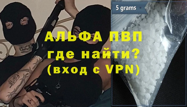 прущие грибы Мегион