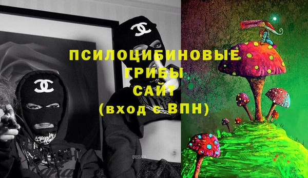 ALPHA PVP Медногорск