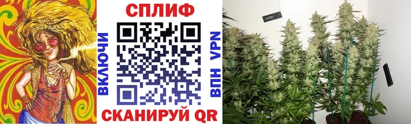 Бошки Шишки VHQ  хочу   Набережные Челны 